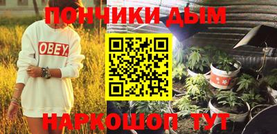мет Можга