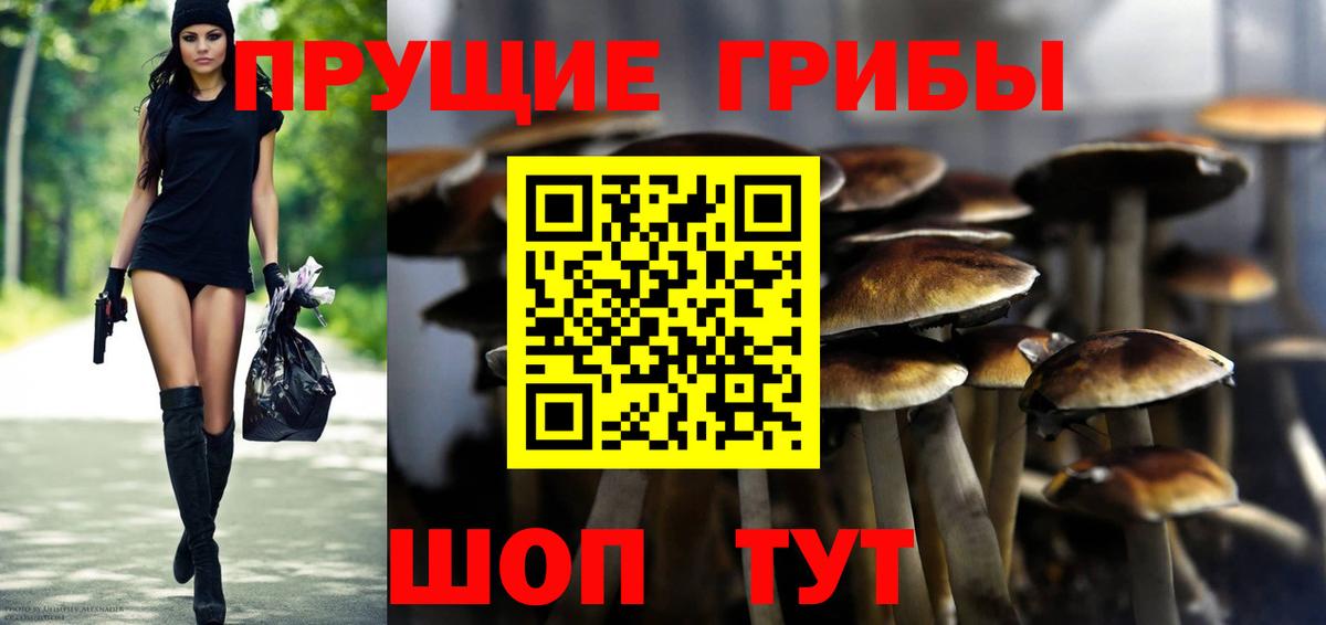 Горно-Алтайск  Галлюциногенные грибы ЛСД  Вход с VPN  Псилоцибиновые грибы Psilocybe 